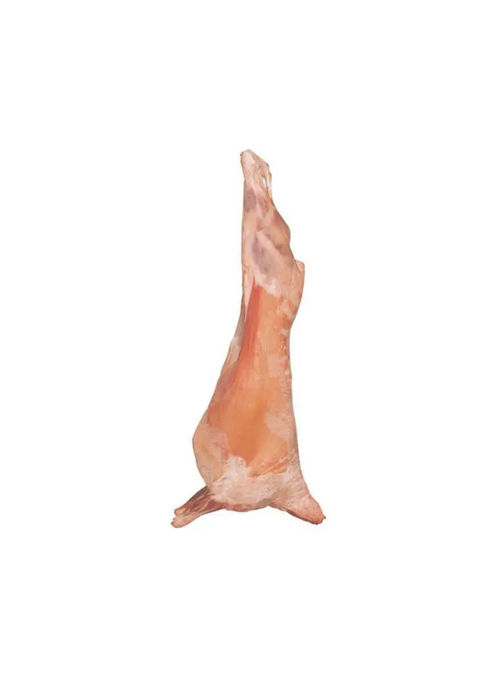 New Zealand Frozen Mutton Carcass
