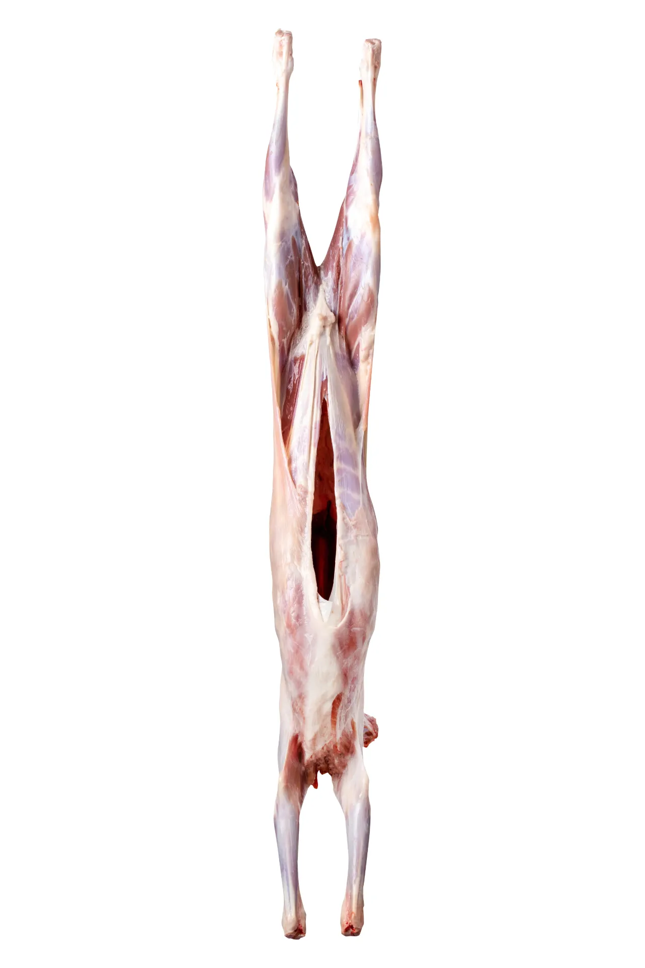 Frozen Bone-In Mutton Carcasses