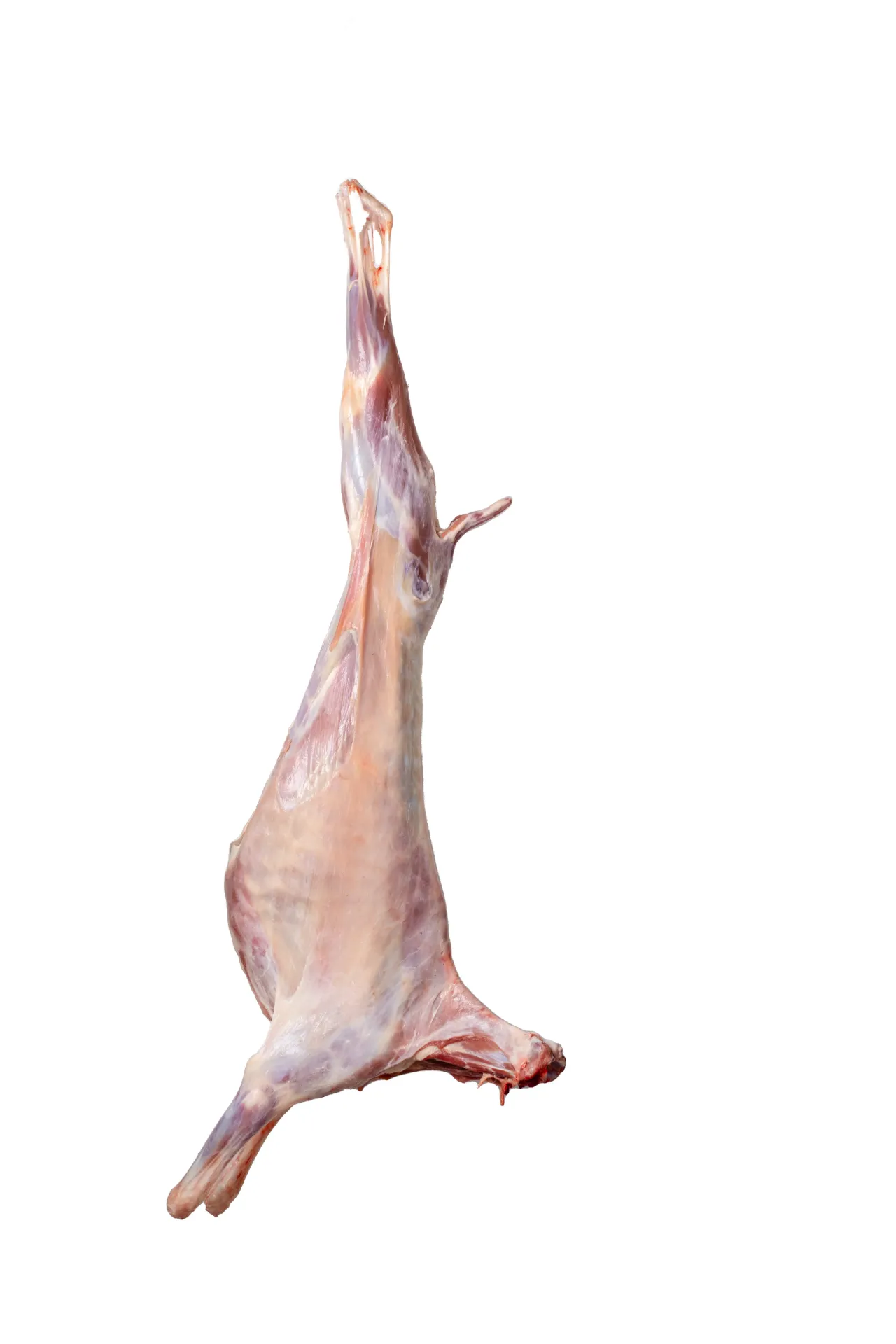 Frozen Bone-In Mutton Carcasses Storable