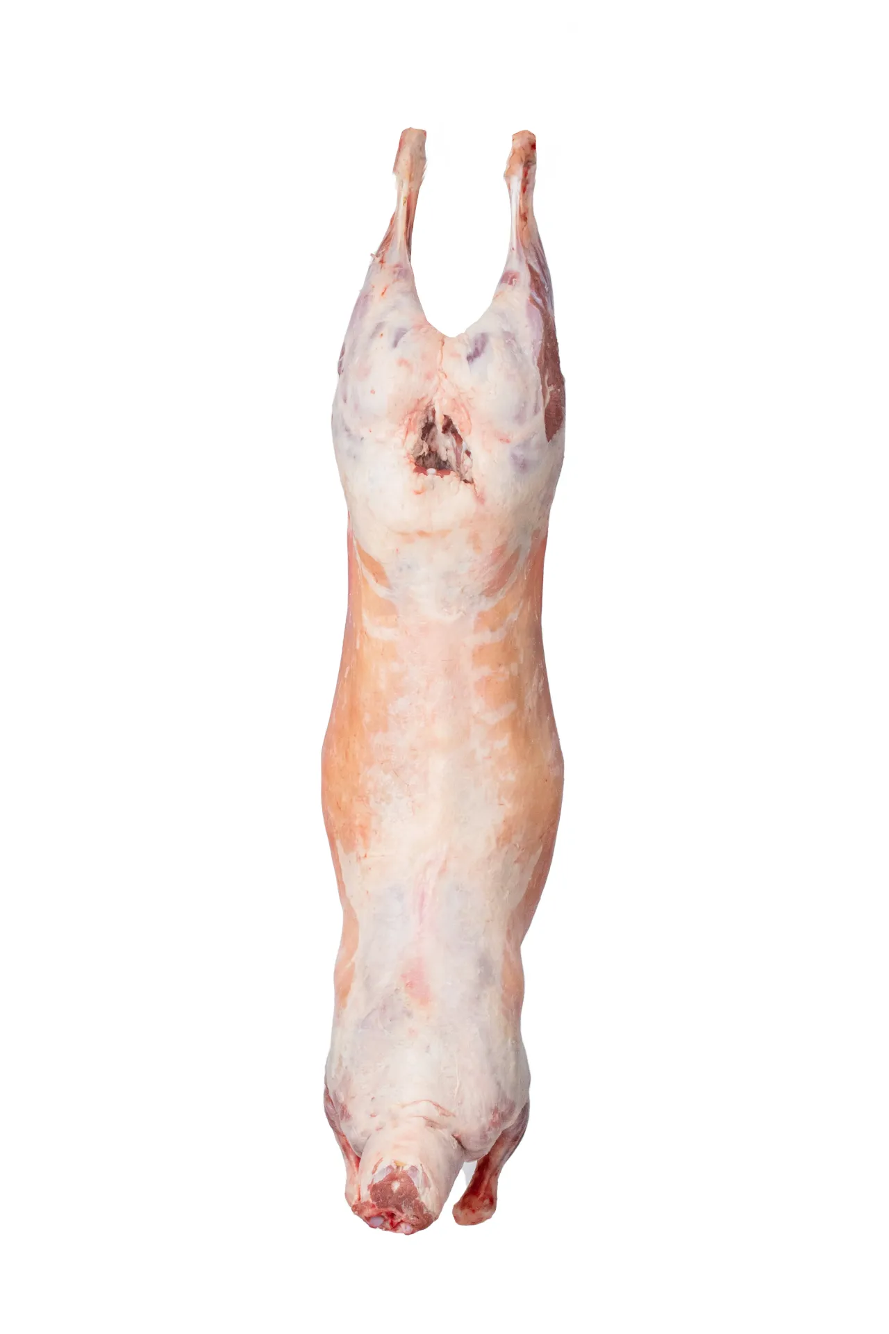 Chilled Bone-In Ovin Carcass