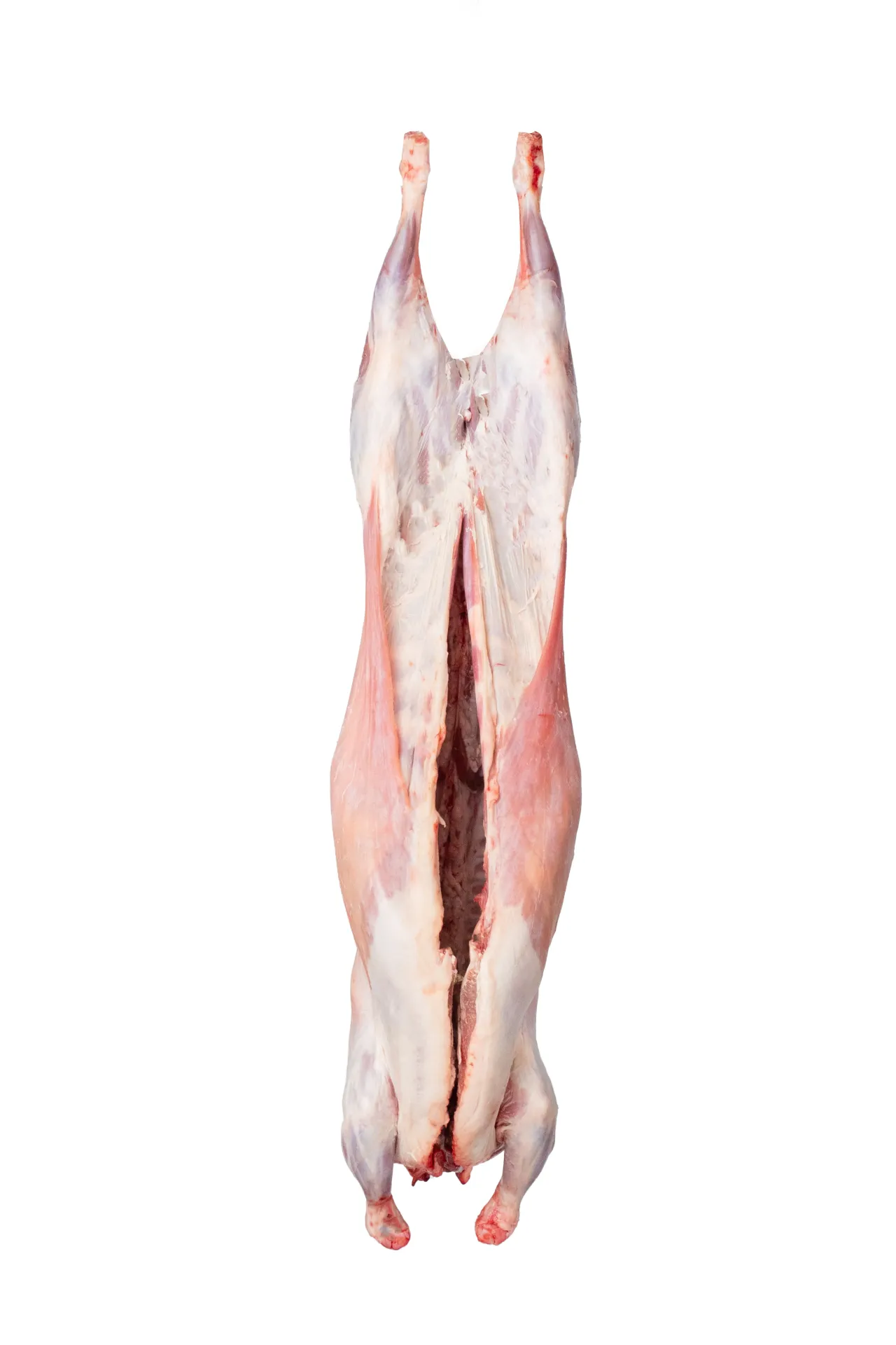 Chilled Bone-In Lamb Carcass