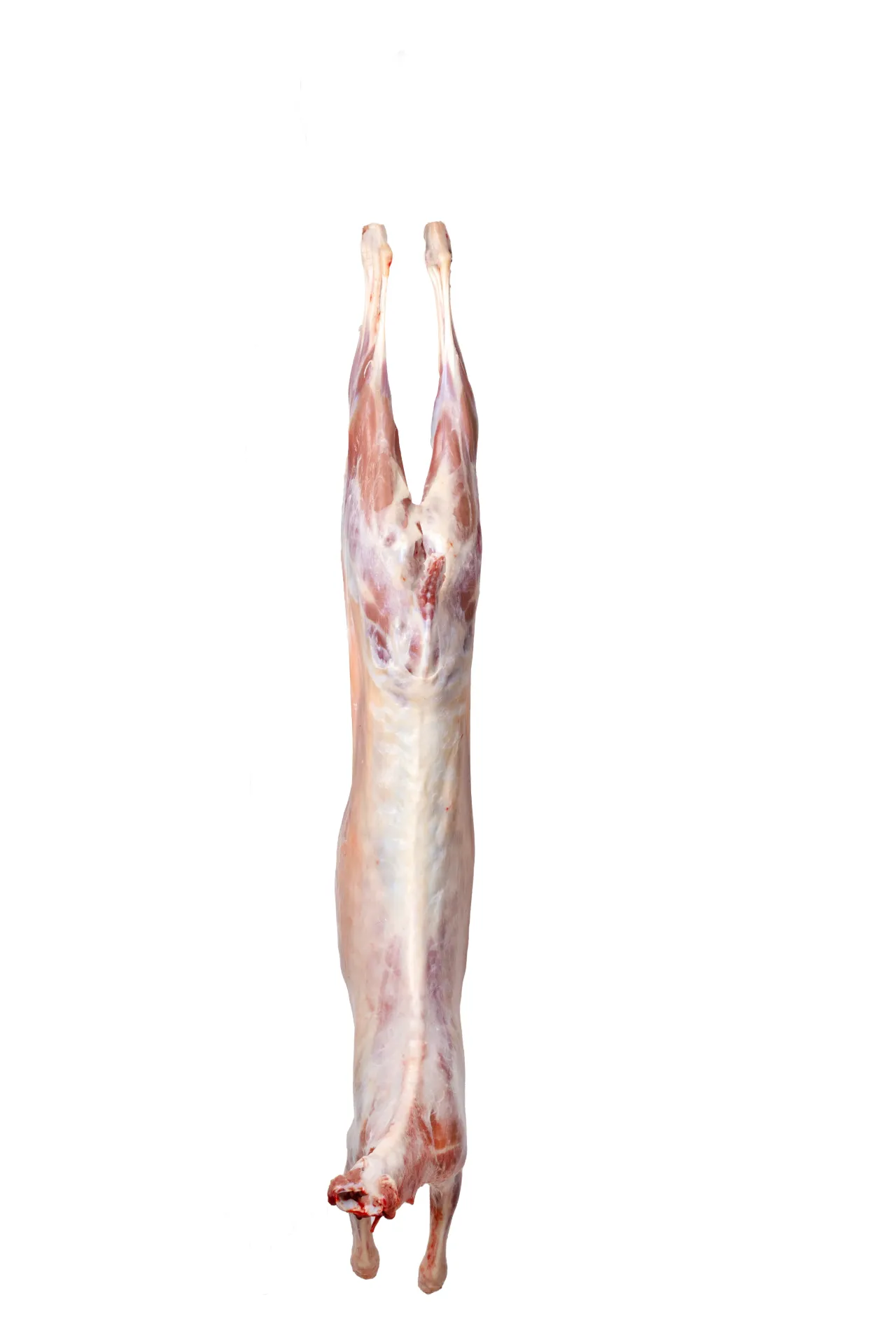 Frozen Bone-In Lamb Carcass